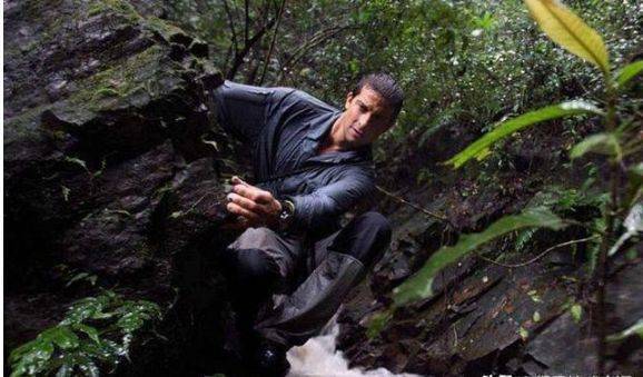 还记得"站在食物链顶端"的贝爷吗?