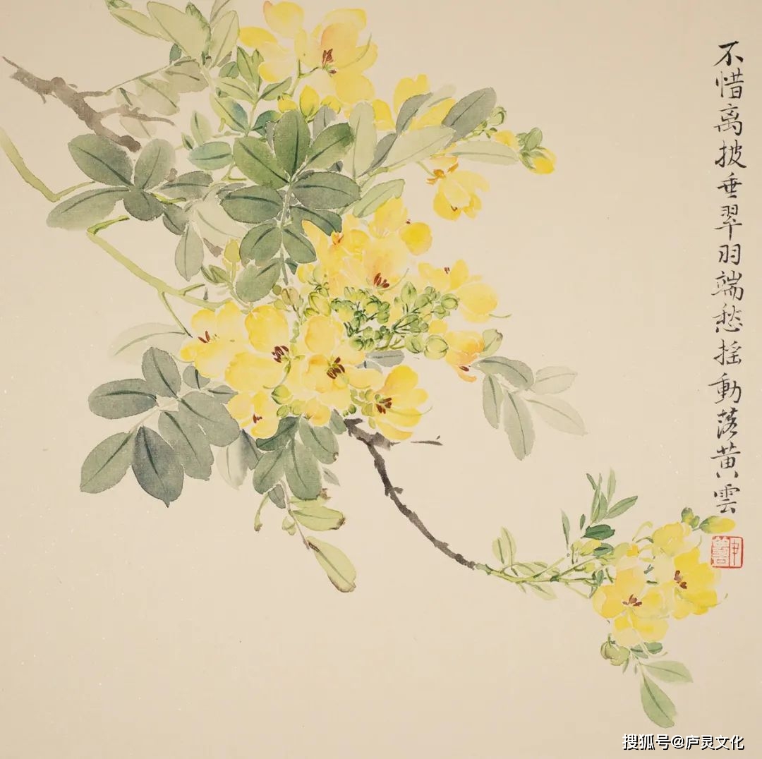 尹梦月 61 二十四番风信花 i 微展览no.72