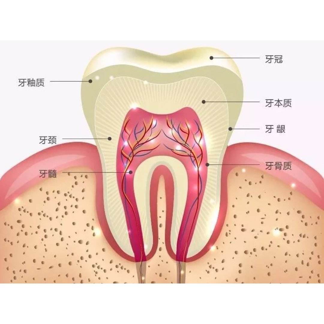 开展失信修复的方式有哪些（失信修复情况报告） 第2张