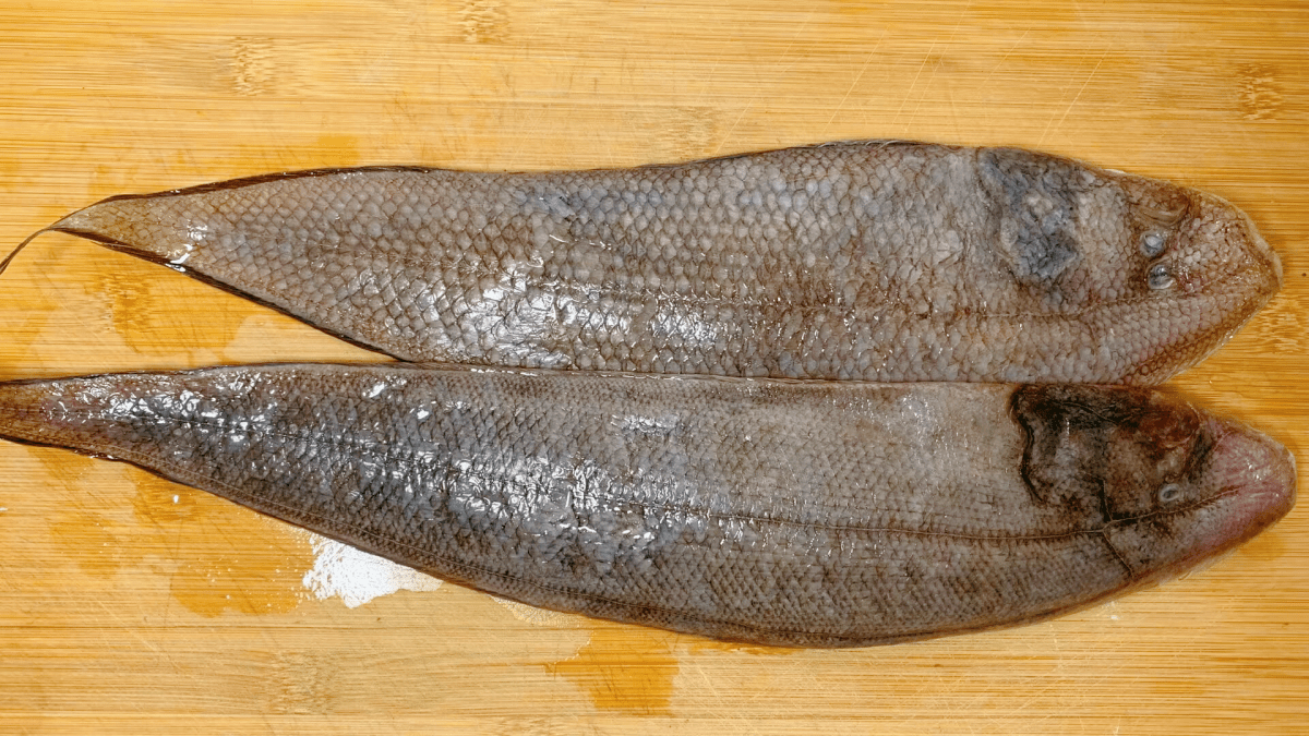 春天,少吃猪肉多吃它,比牛羊肉滋补,比鸡肉鲜美,不懂吃真可惜_鳎目鱼