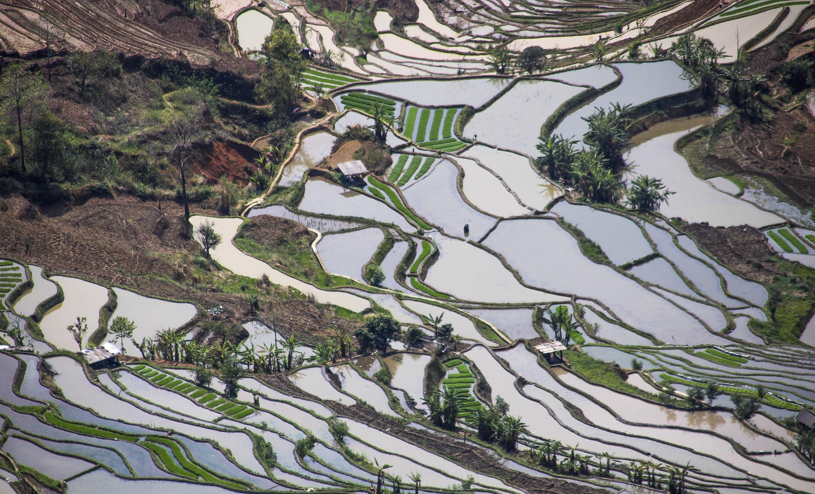 春天的哈尼梯田有多治愈?漫山遍野是劳动写下的诗句_元阳_景区_红河州