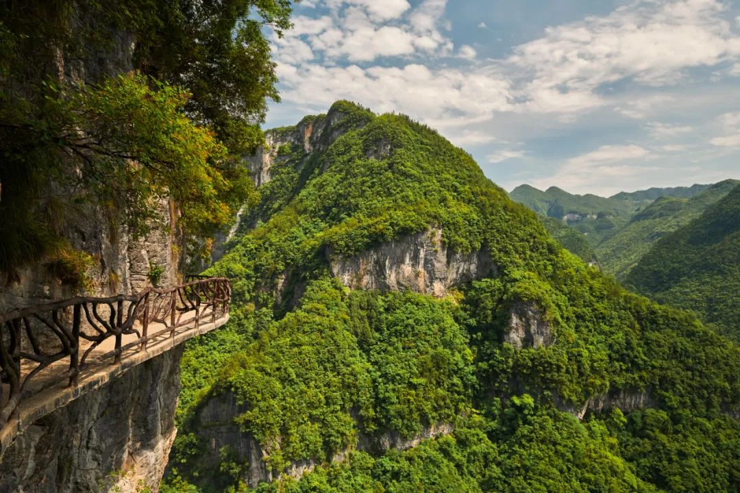 巴山大峡谷照片图片