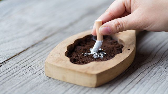 精索静脉曲张的常见问题,一次性说清楚!_血液_情况_阴囊