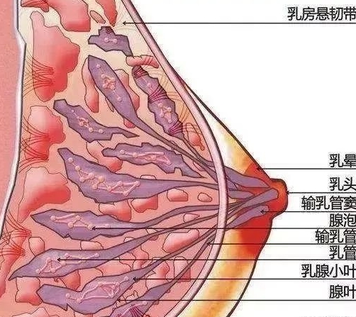 来自搜狐网