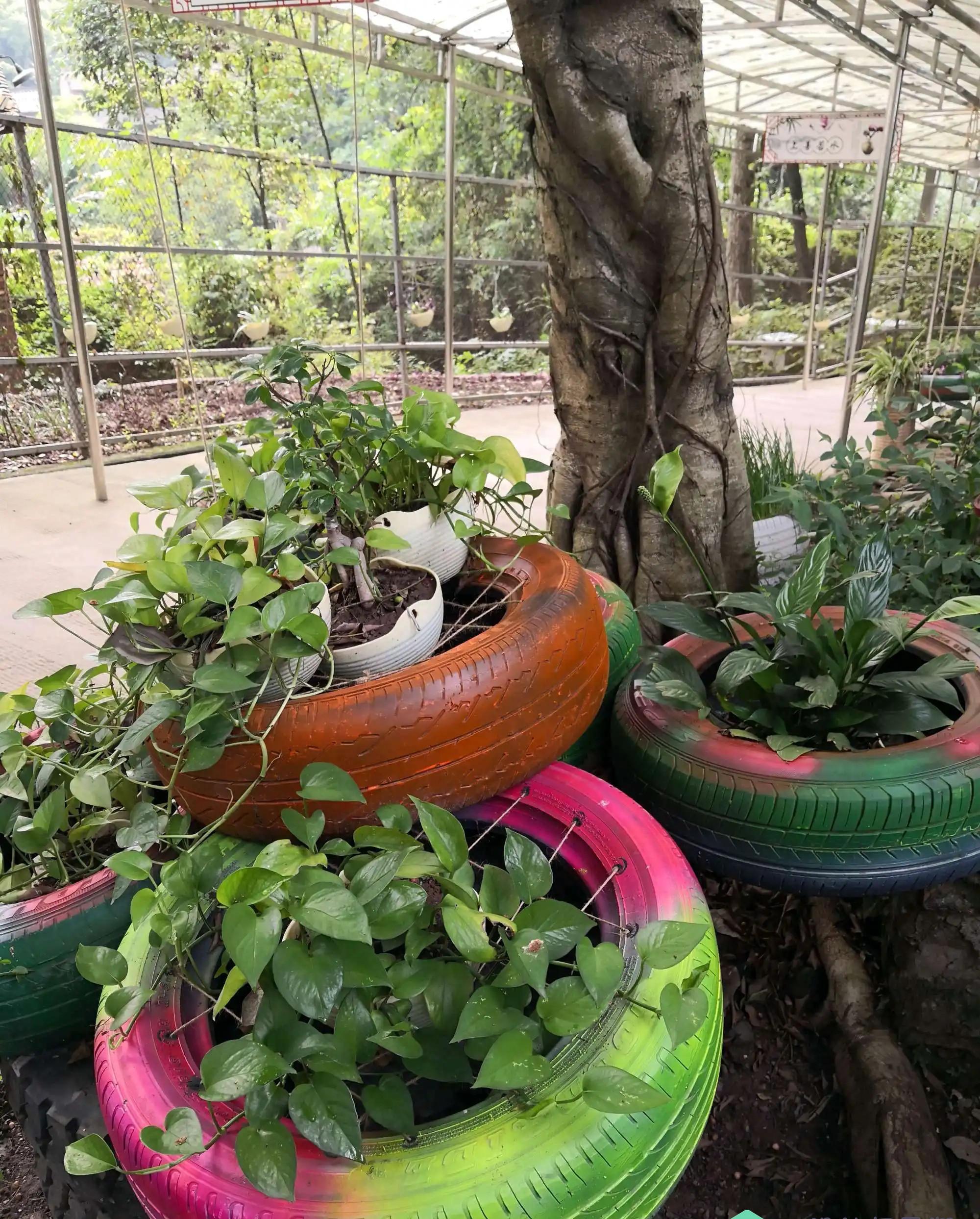 和修车店老板买了几个废旧轮胎,改成椅子和花盆,竟比买的还好看_创意_