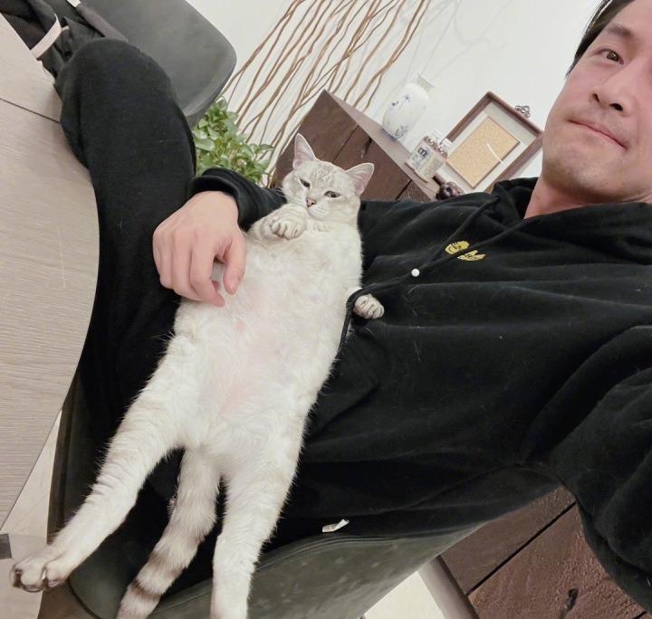 胡歌家里养了六只猫,对于养猫这种被很多人养过的猫是否对孩子有害,他