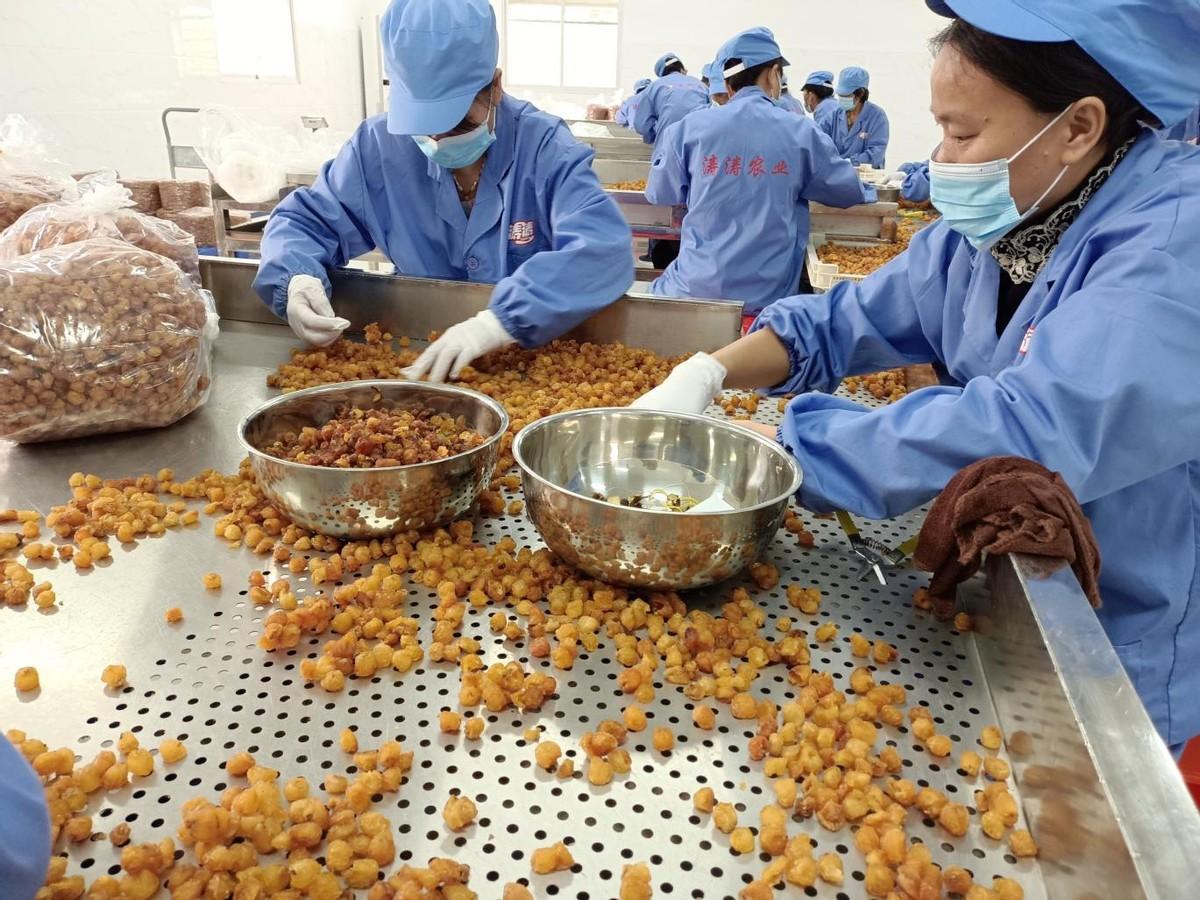 "博白桂圆肉"