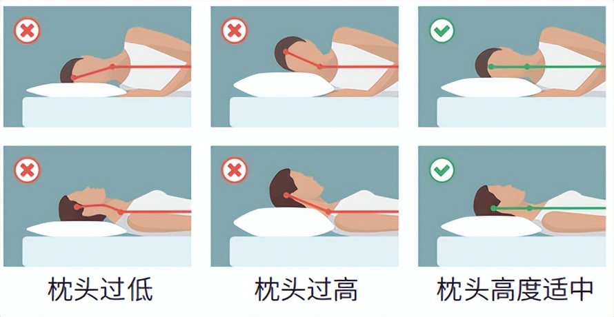 8小时睡眠论可能是错的？如何科学睡眠？（8小时睡眠论?这10个常识一定要知道）