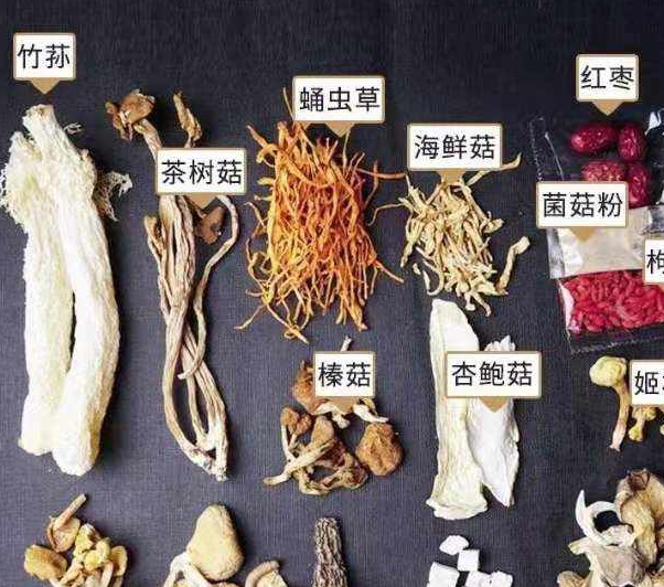 菌子汤（风中奇缘菌子汤啥意思） 第4张