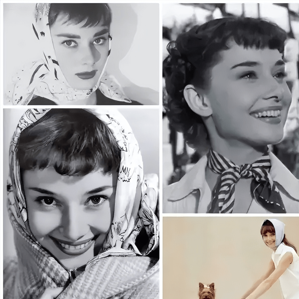 刷了n遍的罗马假日,还真不是因为喜欢赫本的神仙颜值_丝巾_影片_女神