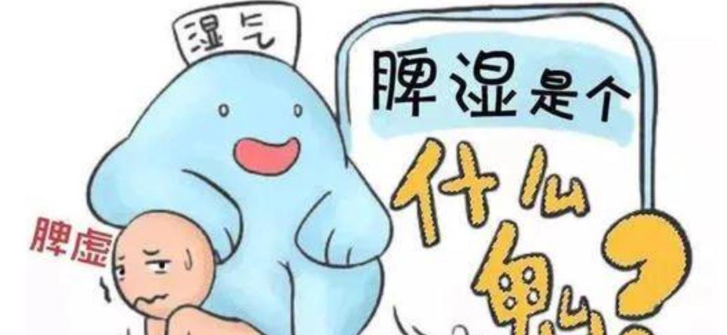 脾喜燥恶湿 来自搜狐网