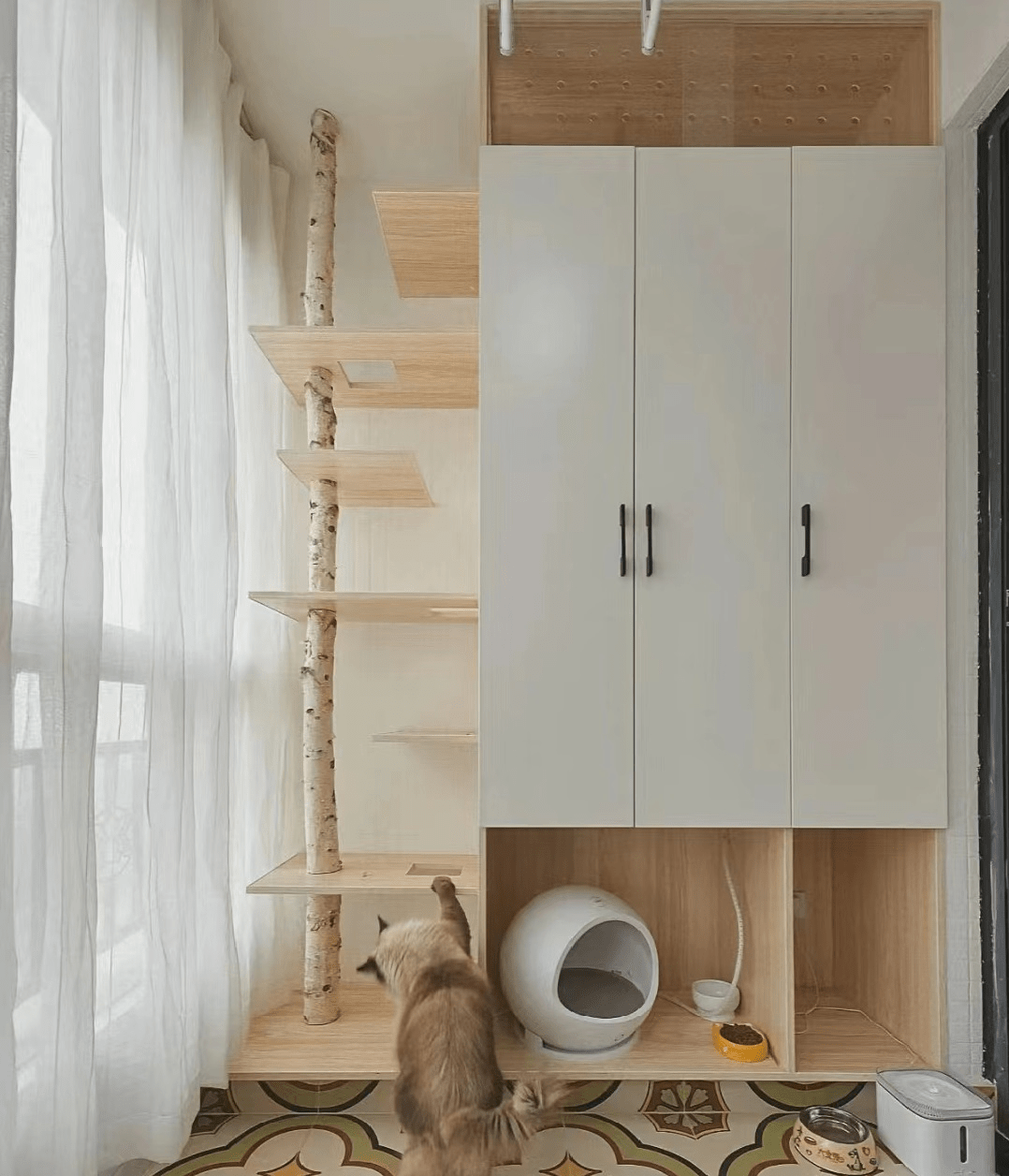 我家猫好像在阳台抽烟_空间_功能_宠物