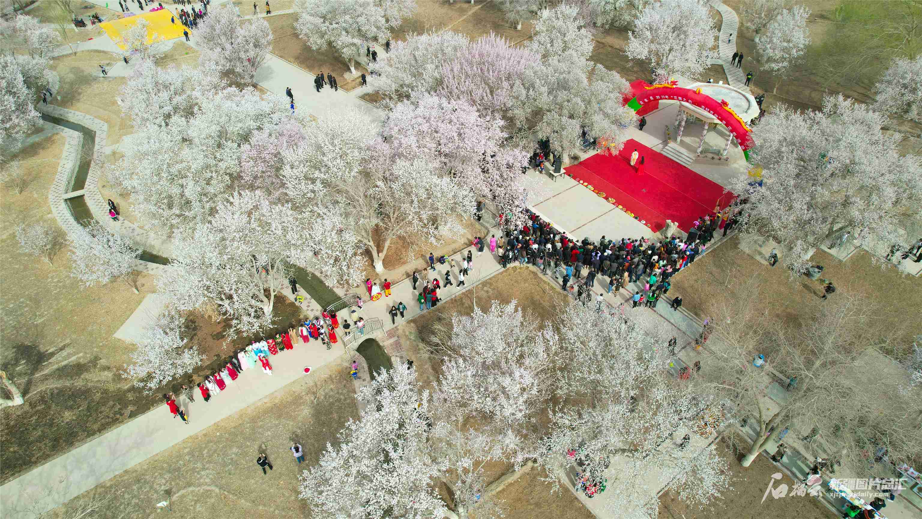 游天山南北 赏盈盈花海_摄影_游客_杏花村