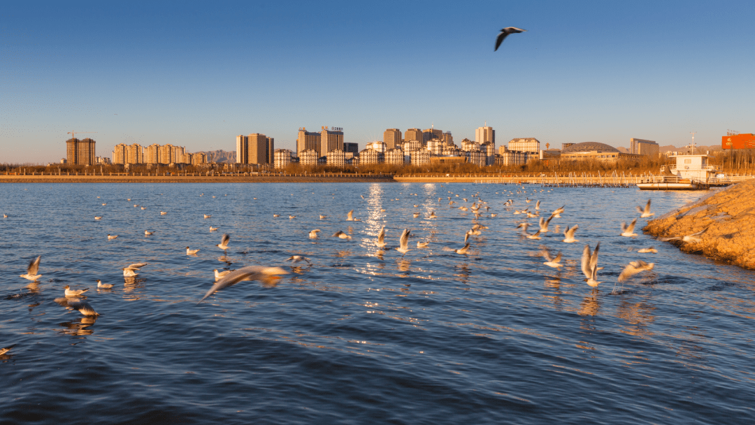 73 房产区划:海勃湾区,乌达区,海南区73 家庭成员:55.