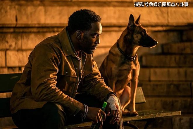 《疾速追杀4》到底还能看嘛？(疾速追杀4免费观看完整版电影)