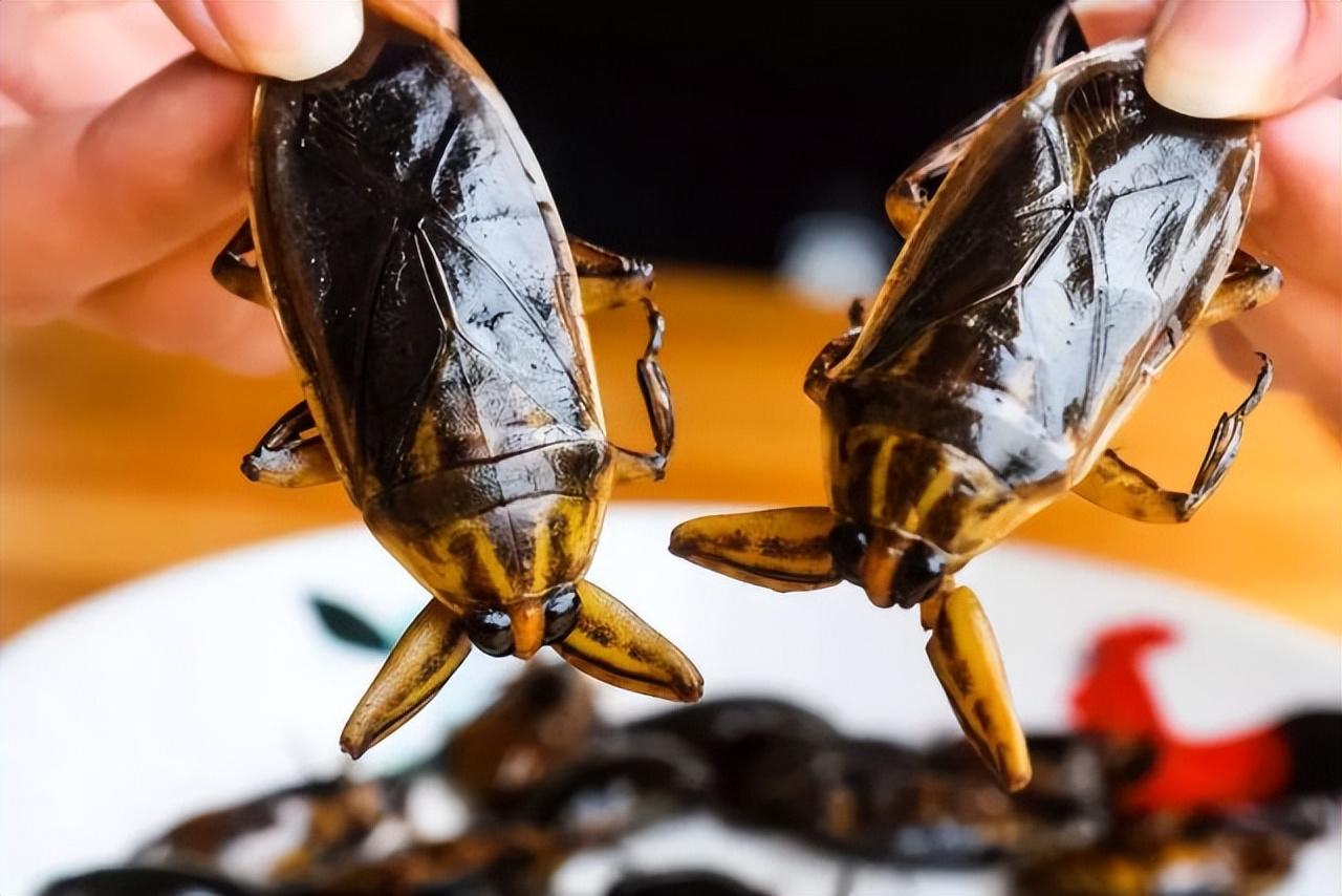 为什么古人会把青蚨,比作为钱币?_虫子_图片_银号