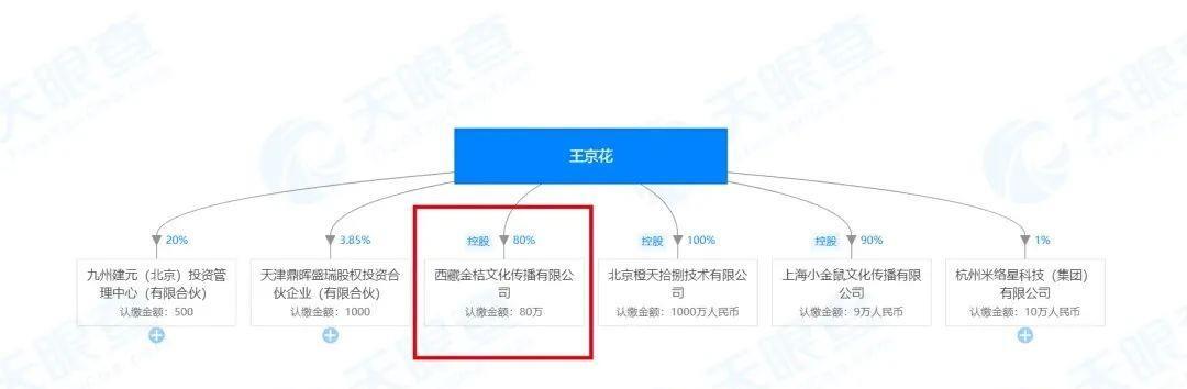 天眼查限制消费令红变暗（天眼查限制消费令是什么意思） 第6张