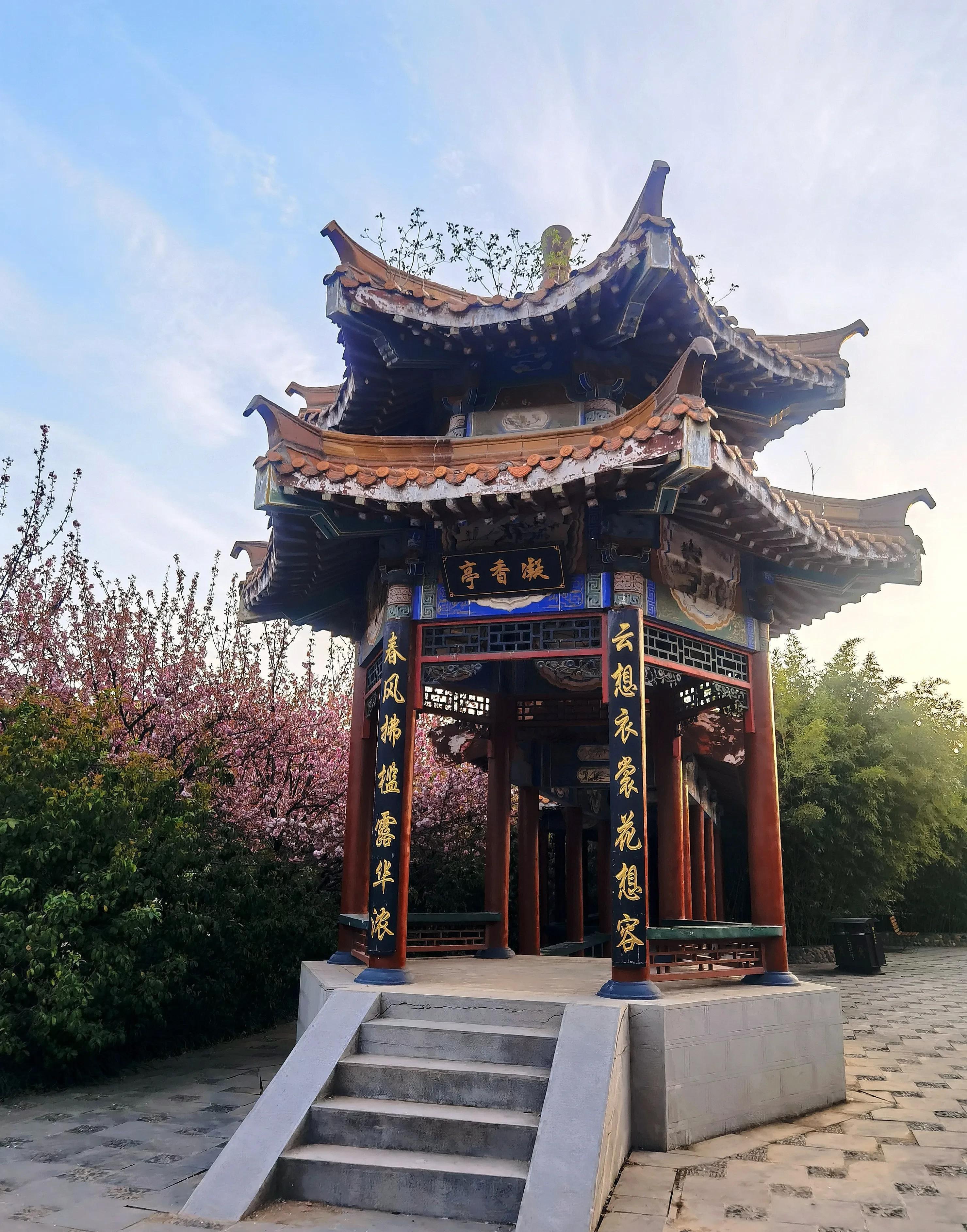 踏春洛陽中國國花園,看牡丹花開賞古建樓閣之美,追著春風過清明_景區