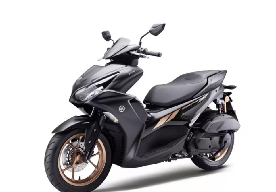 新车快讯:雅马哈mt03发布新款,川崎太子车亮相,排量250～400cc_搜狐