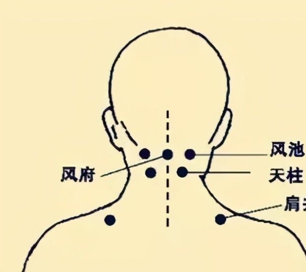 天柱的位置图和作用图片