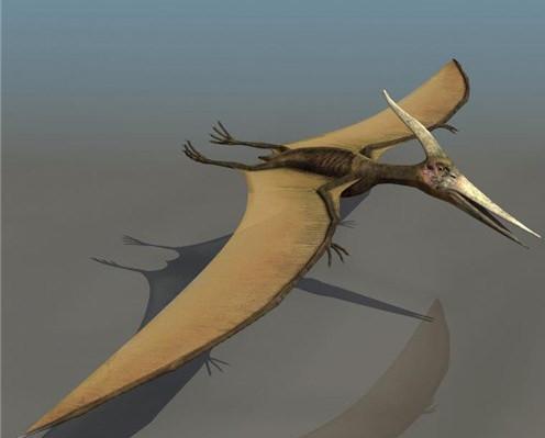 1864年,美国士兵击落一条远古翼龙,并拍下照片当证据,无ps痕迹_飞行