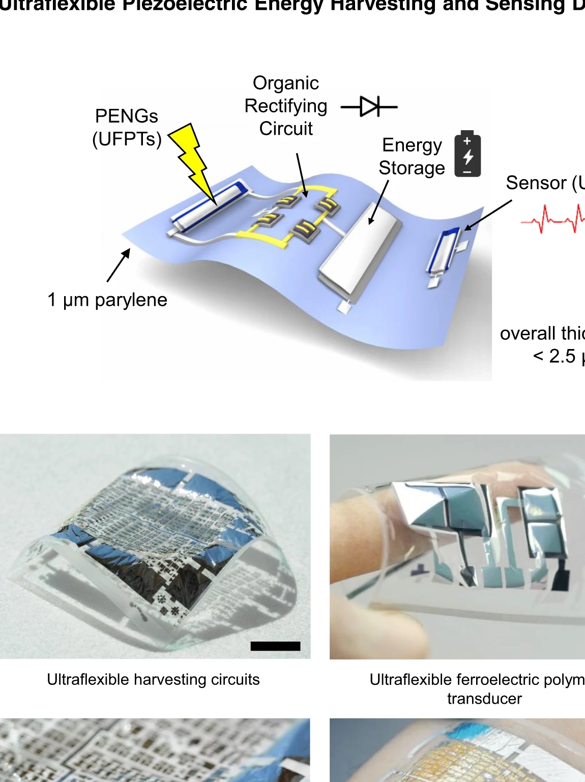 超薄的压电纳米发电机自供电柔性电子医疗贴片,可监控脉搏和血压_能量