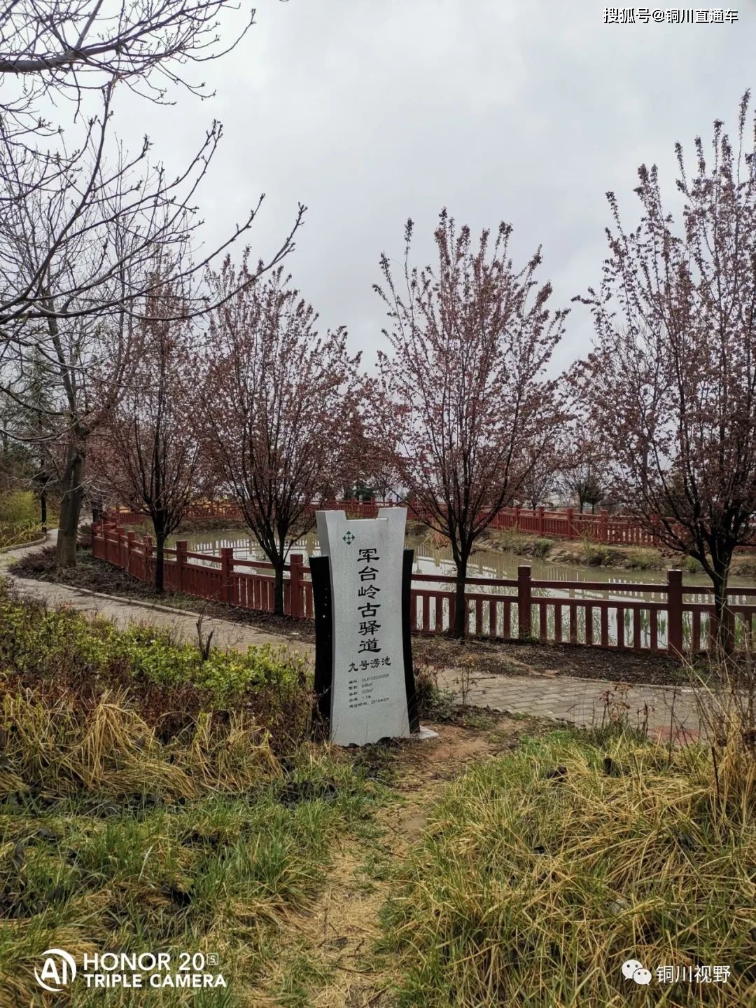 春天里的铜川军台岭