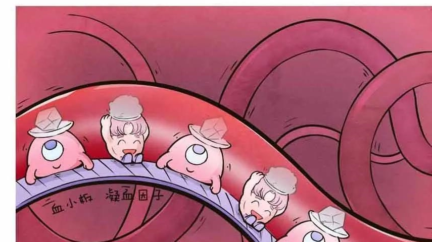 说到血友病,我来说一个临床上碰到的让我印象深刻的病例_病人_因为