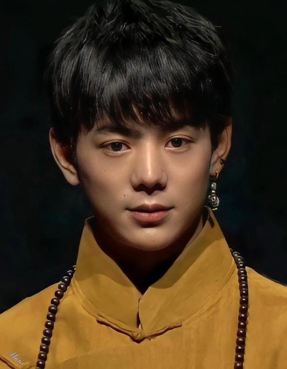 丁真见到了贾玲的妈妈,被质疑炒作,暗讽团队为了钱什么能都炒.