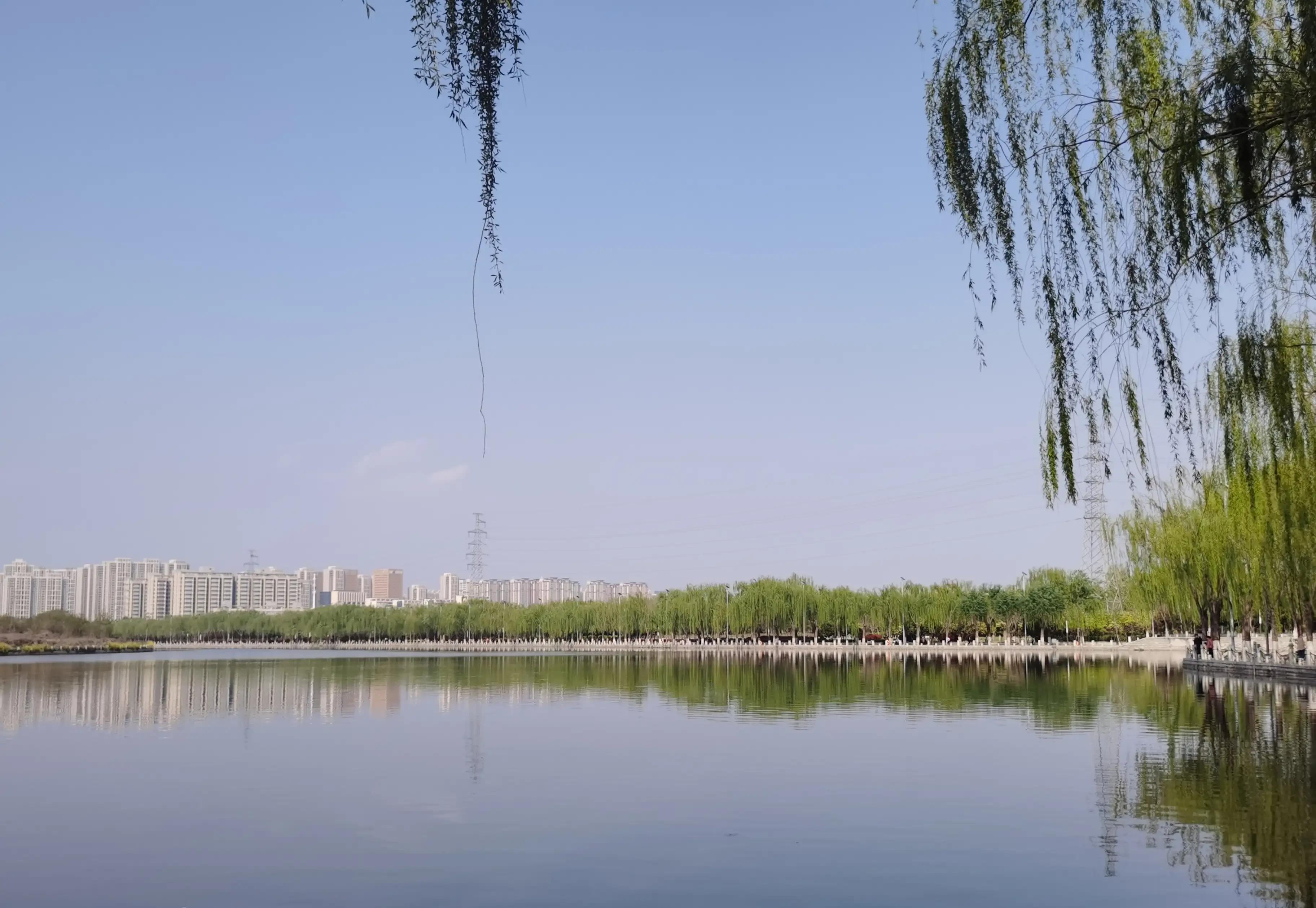 郑州最美散步遛娃绿色长廊-郑州须水河滨河公园_草地_距离_沿河