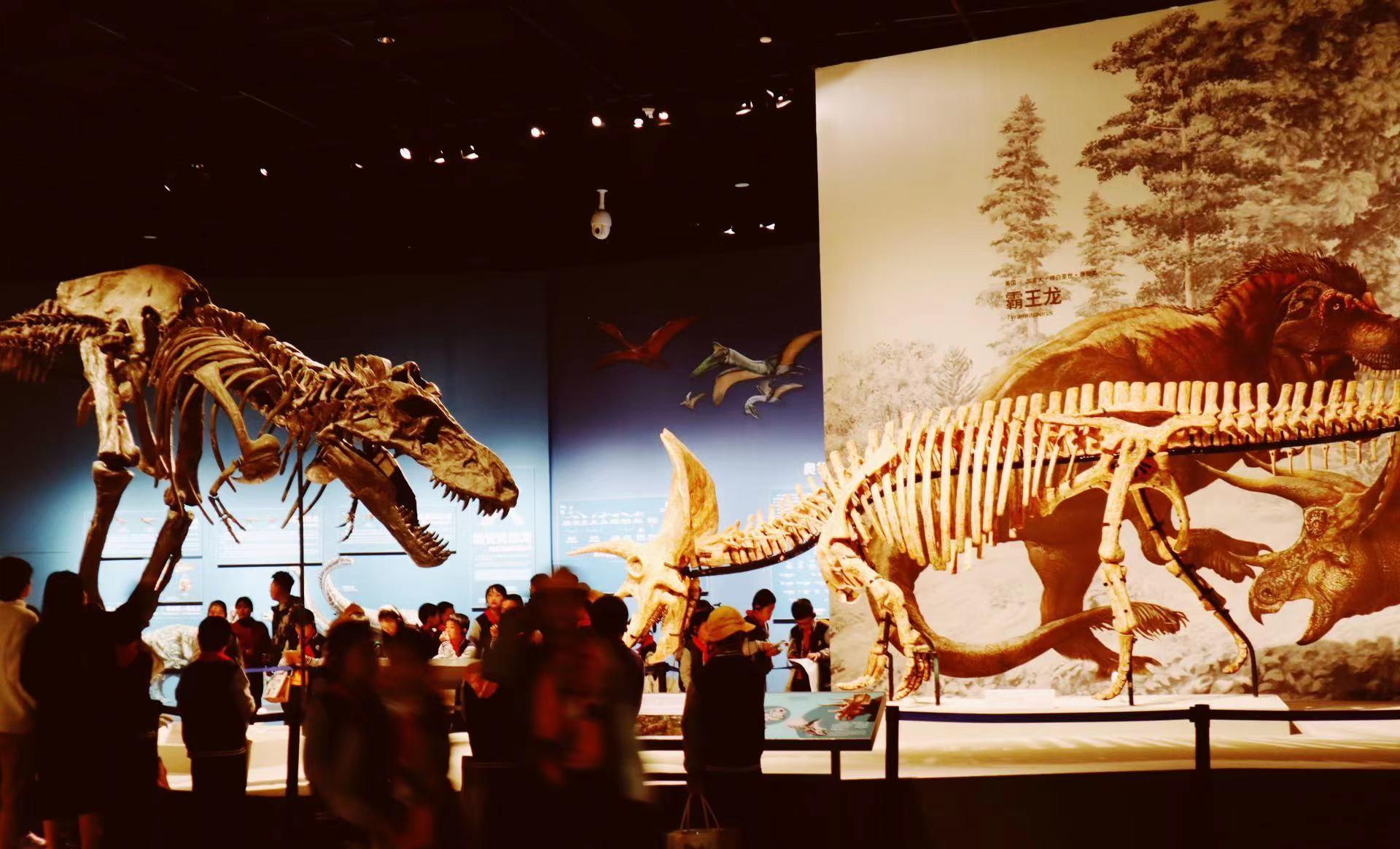 一票难求的超网红自然博物馆,4大看点盘点_恐龙_小朋友_动物