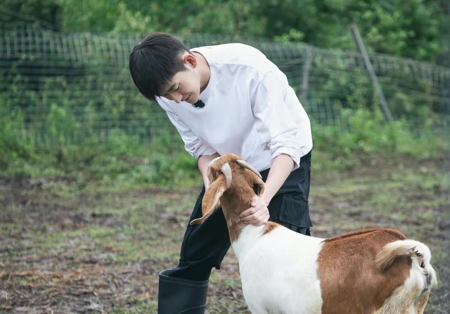 别再说张翰立孤独人设了,他在慢综艺中做的5件"傻事"多接地气_王子文