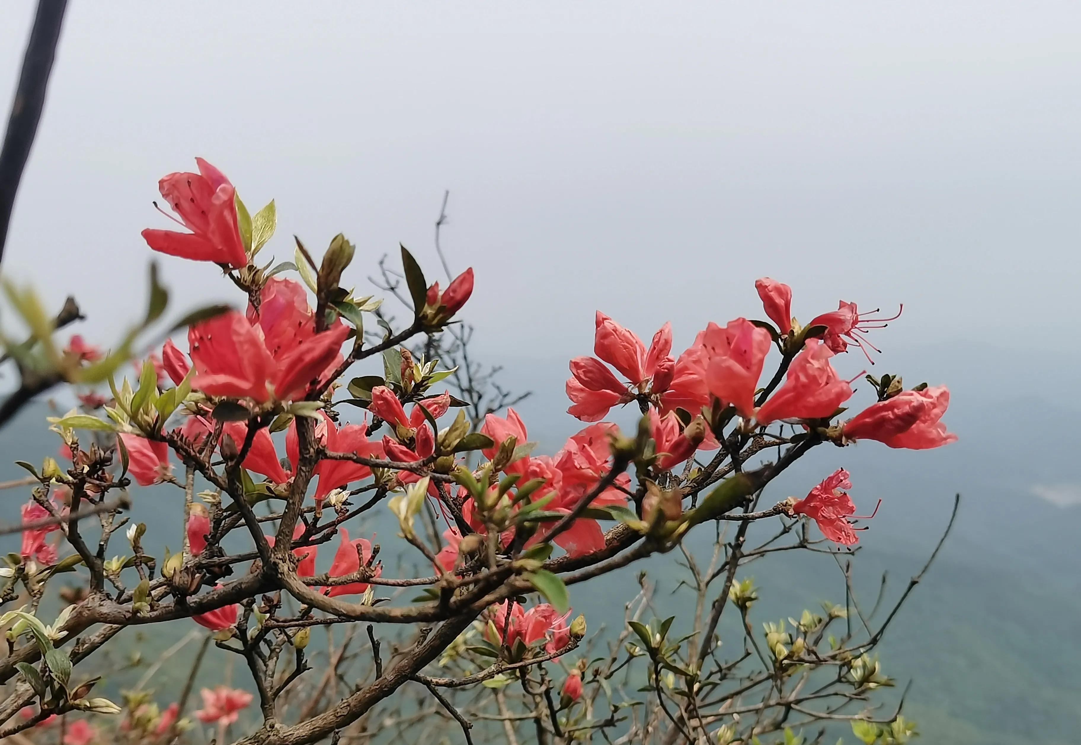 广州远郊,藏在深山里边的"通天蜡烛"有什么好玩的?_登山_主峰_村民