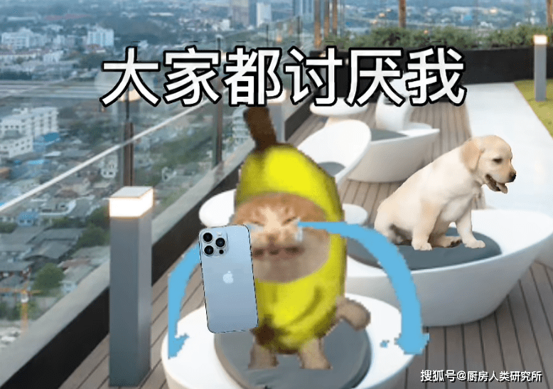 在下坠的过程中,香蕉猫被cheems超人救下.cheems给它买来