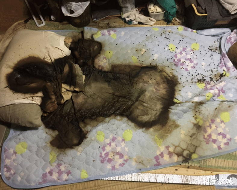 "遗体液化从2楼滴到1楼"66岁男子患病独居,伤后4个月被发现_先生_地板