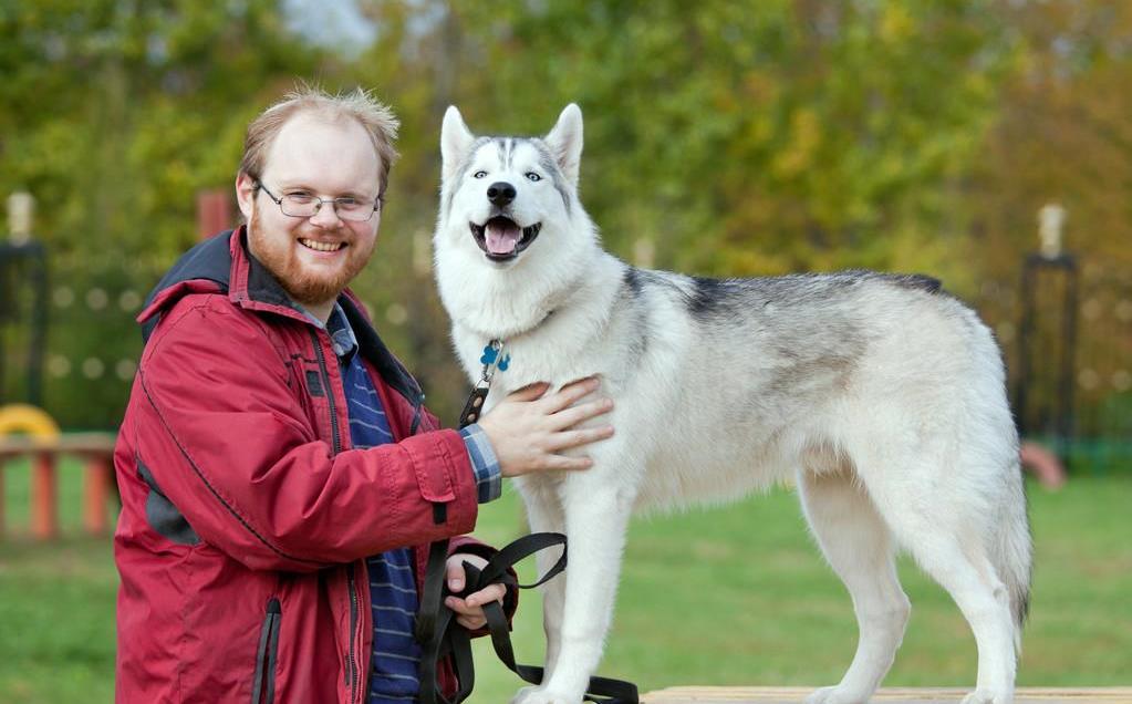 温顺的狗狗品种中型犬图片