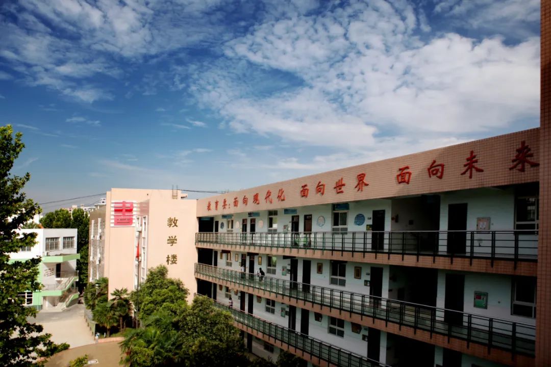 郑州市金水区中方园双语学校2023年秋季一年级新生预约报名_孩子_英语