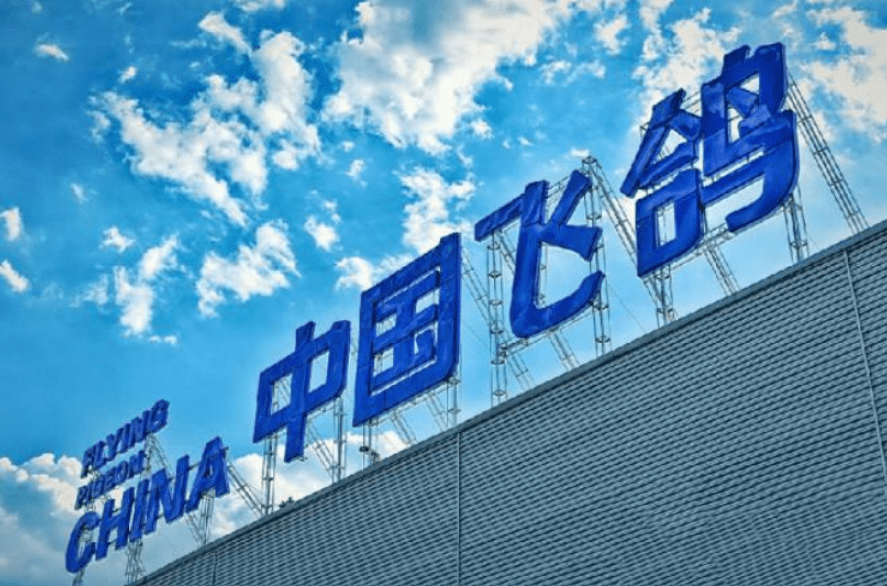 飞鸽推出新款低速四轮车,颜值高,最大续航280公里,价格一万多