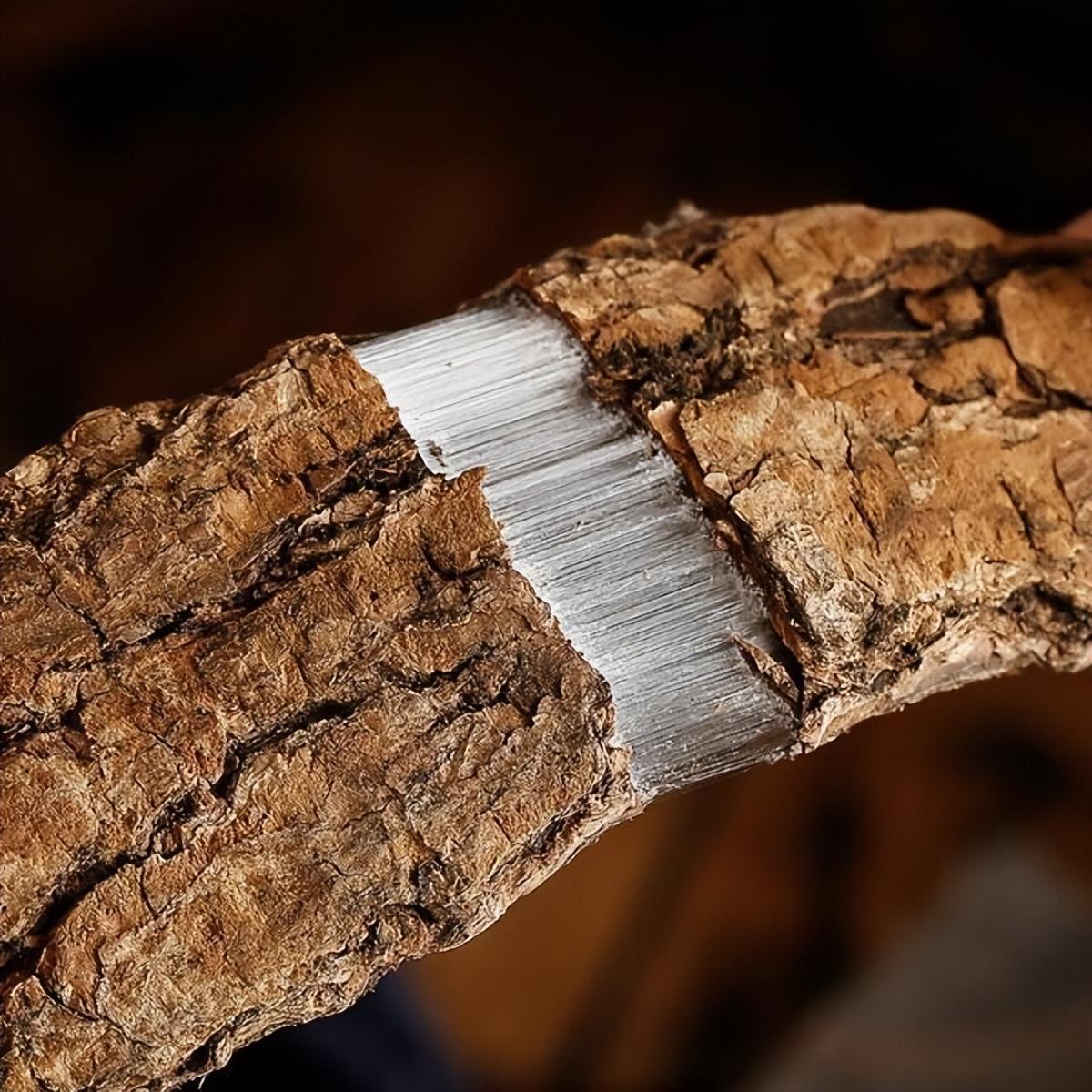 通用股份"杜仲黄金轮胎技术"低碳节能领跑新赛道_橡胶_中国_发展