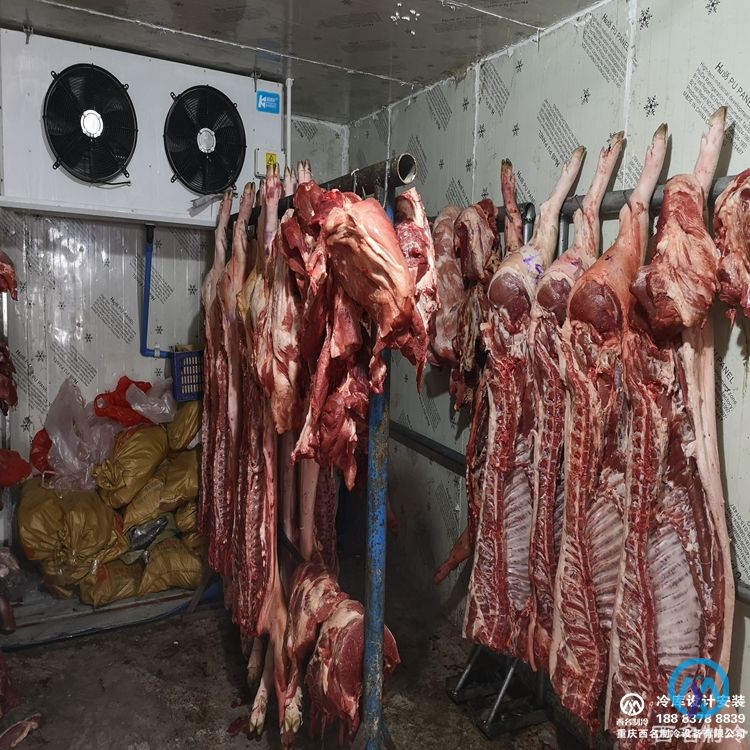 如何设计肉类冷库？四川肉类食品厂冻库必知的知识