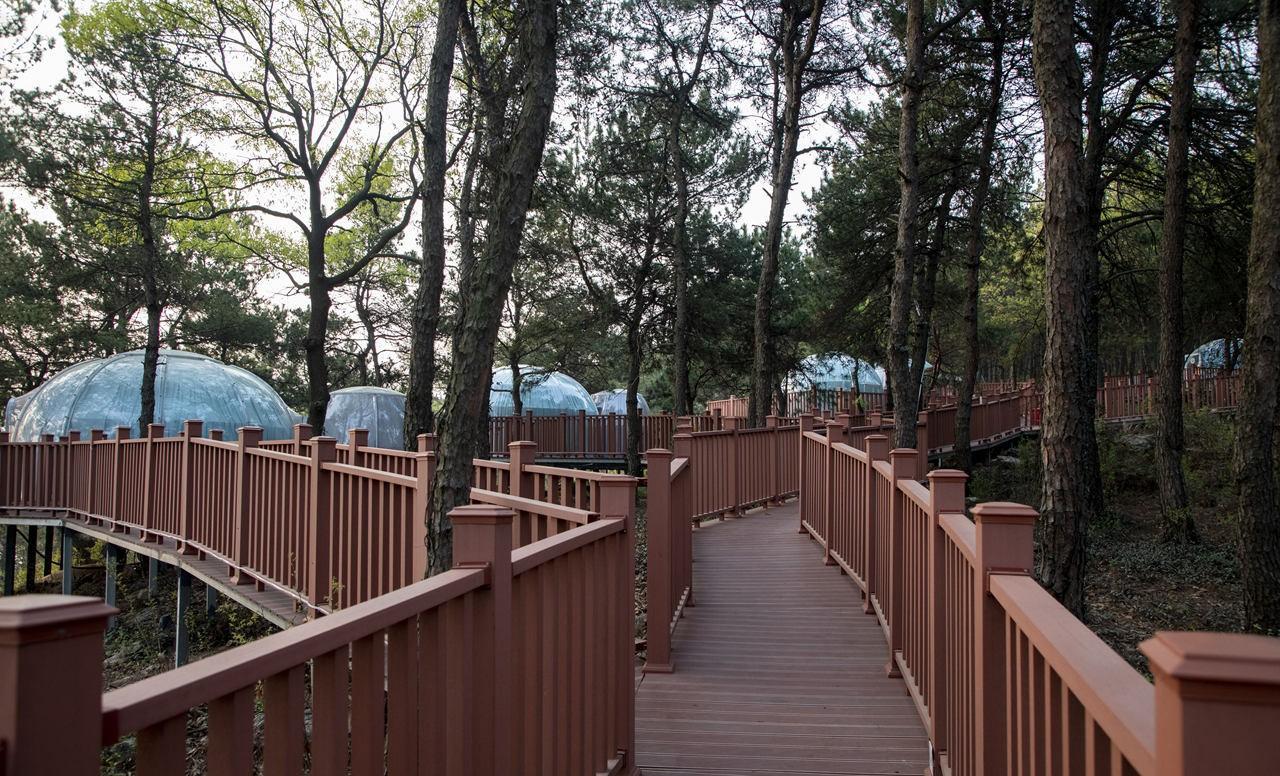 安山森林公园:寻根,避暑,娱乐的好去处_旅游_奶奶_游客