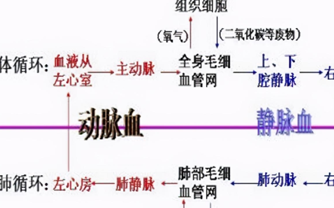 原创            甘油三酯高了就要吃药？医生：错了，达到一定的数值才要吃降脂药