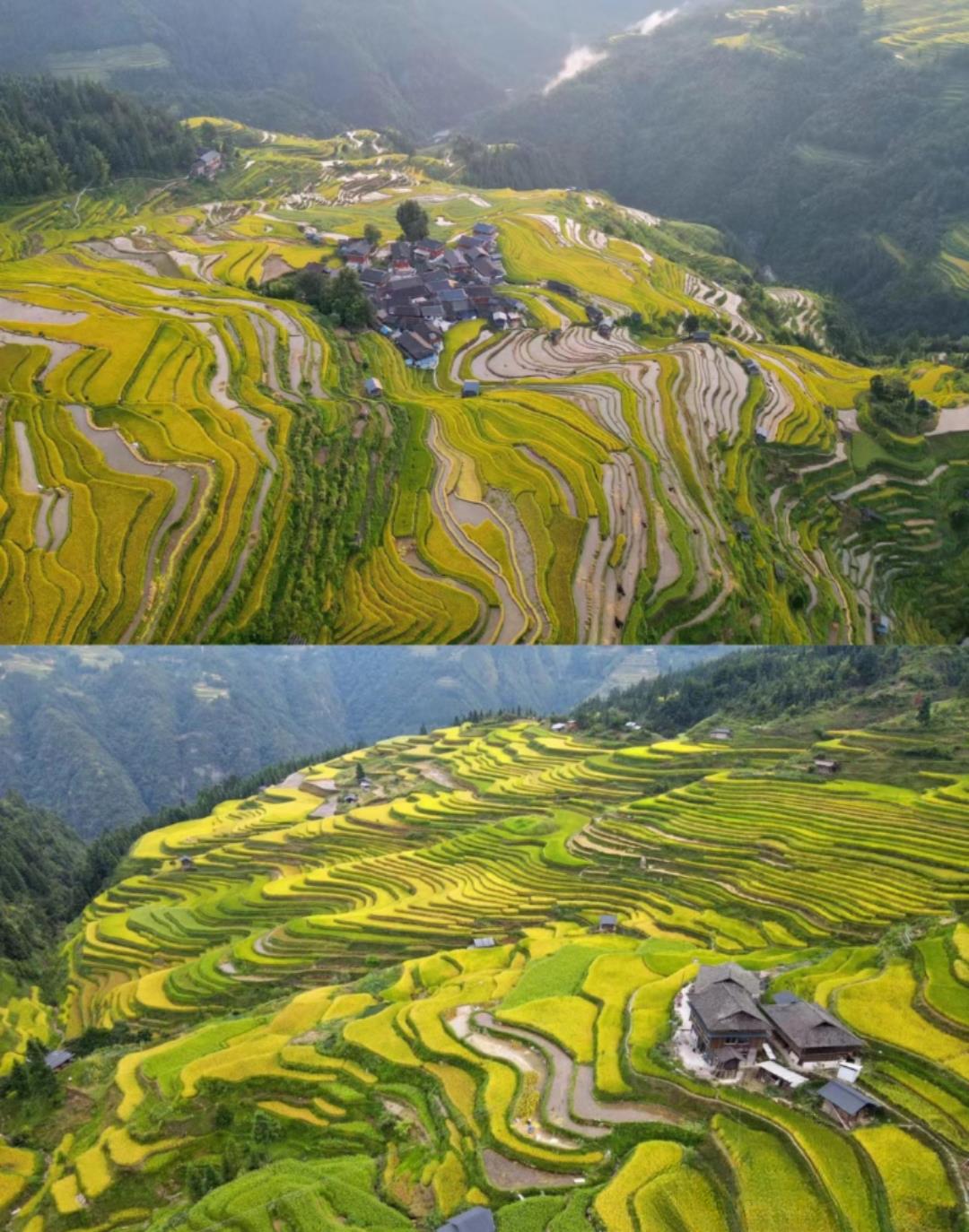 贵州真的太多壮美风景了,你去过几个?_梯田_古堡_夜郎
