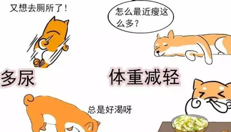 原创            能吃是福？达咩× 警惕这些疾病(原创力文档)