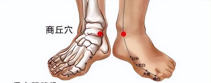 脚踝经络图 内侧图片