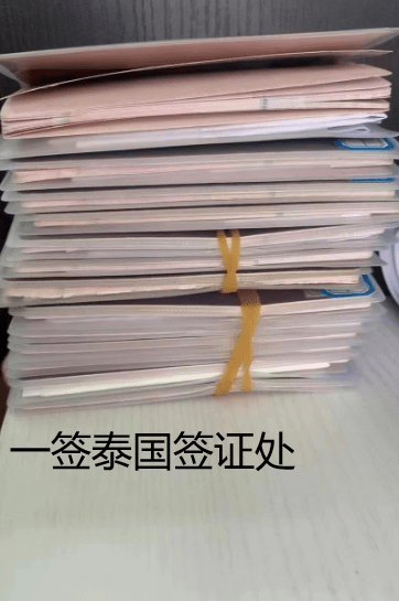 泰国接机快速入境（一签泰国签证处带关）  第3张