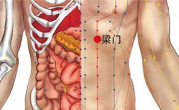 神奇的梁门穴,又称粮食之门,人体的消食药,消食理气除胀的要穴