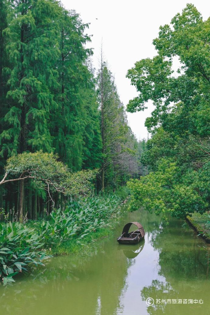 苏州吴江万公堤61时光森林:"一站式遛娃"的好地方_太湖_李俊锋_刘振