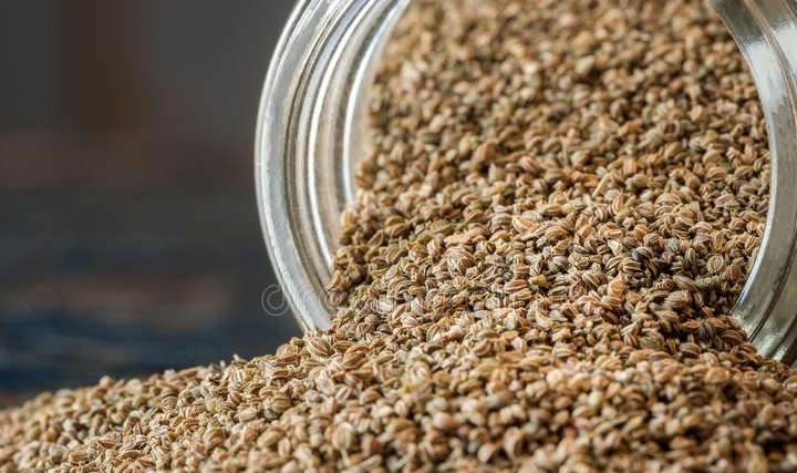 两年生草本植物,原产于地中海沿岸,而芹菜籽是通过干燥芹菜果实得到的