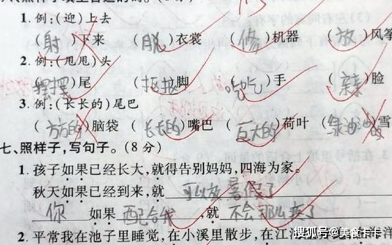 小学生奇葩作业火了，分分钟笑到肚子疼，老师：人才，太早熟！-盘点那些奇葩的小学生作业